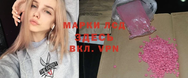 твердый Новодвинск