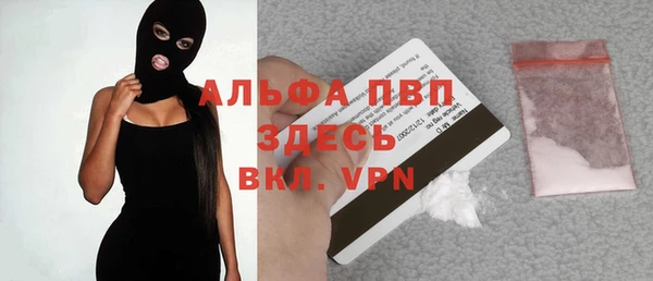 твердый Новодвинск