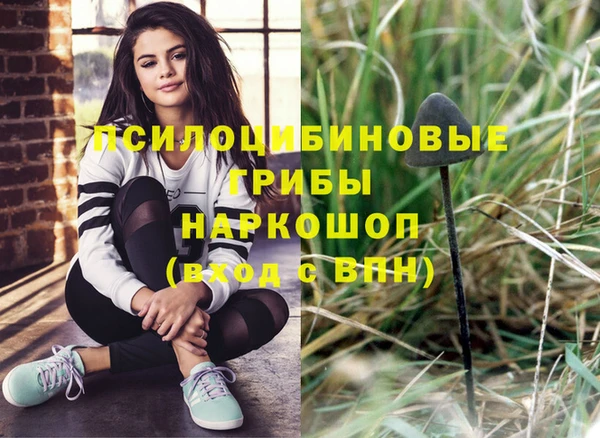 крисы Новозыбков