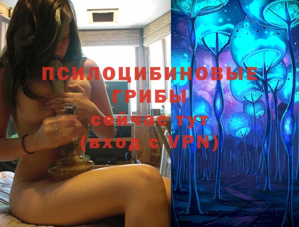 крисы Новозыбков