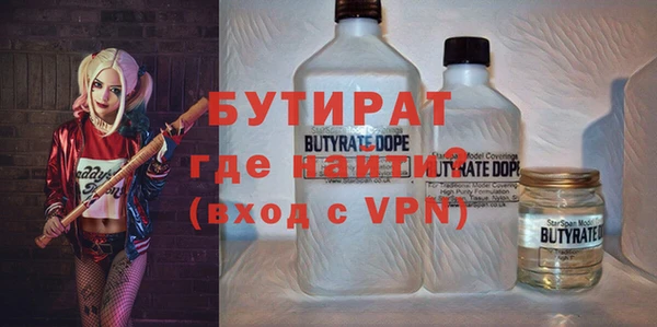 твердый Новодвинск