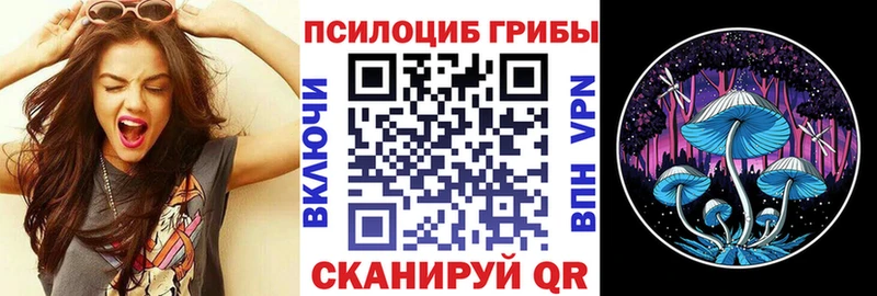 Купить где  Нижневартовск  Галлюциногенные грибы GOLDEN TEACHER 